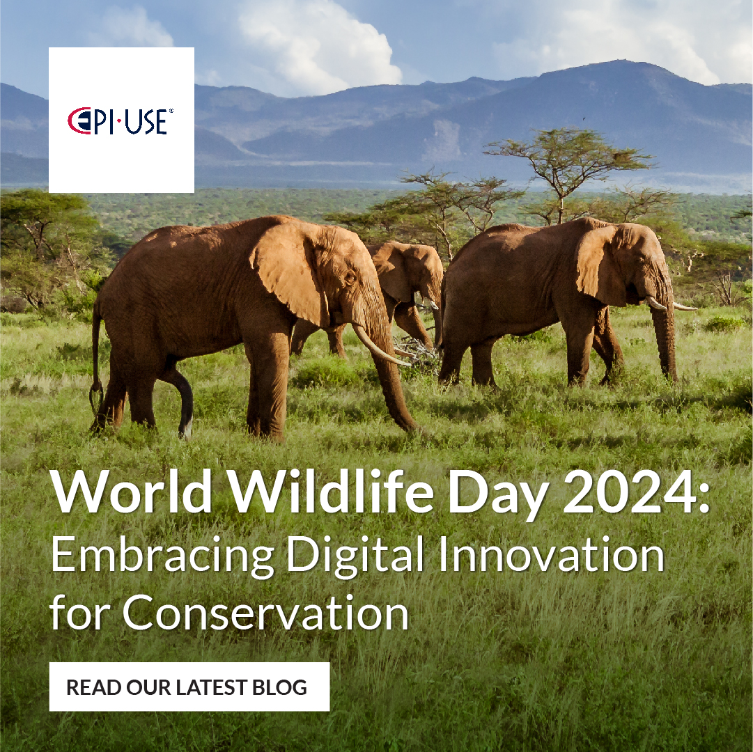 World Wildlife Day 2024 Embracing Digital Innovation for Conservation